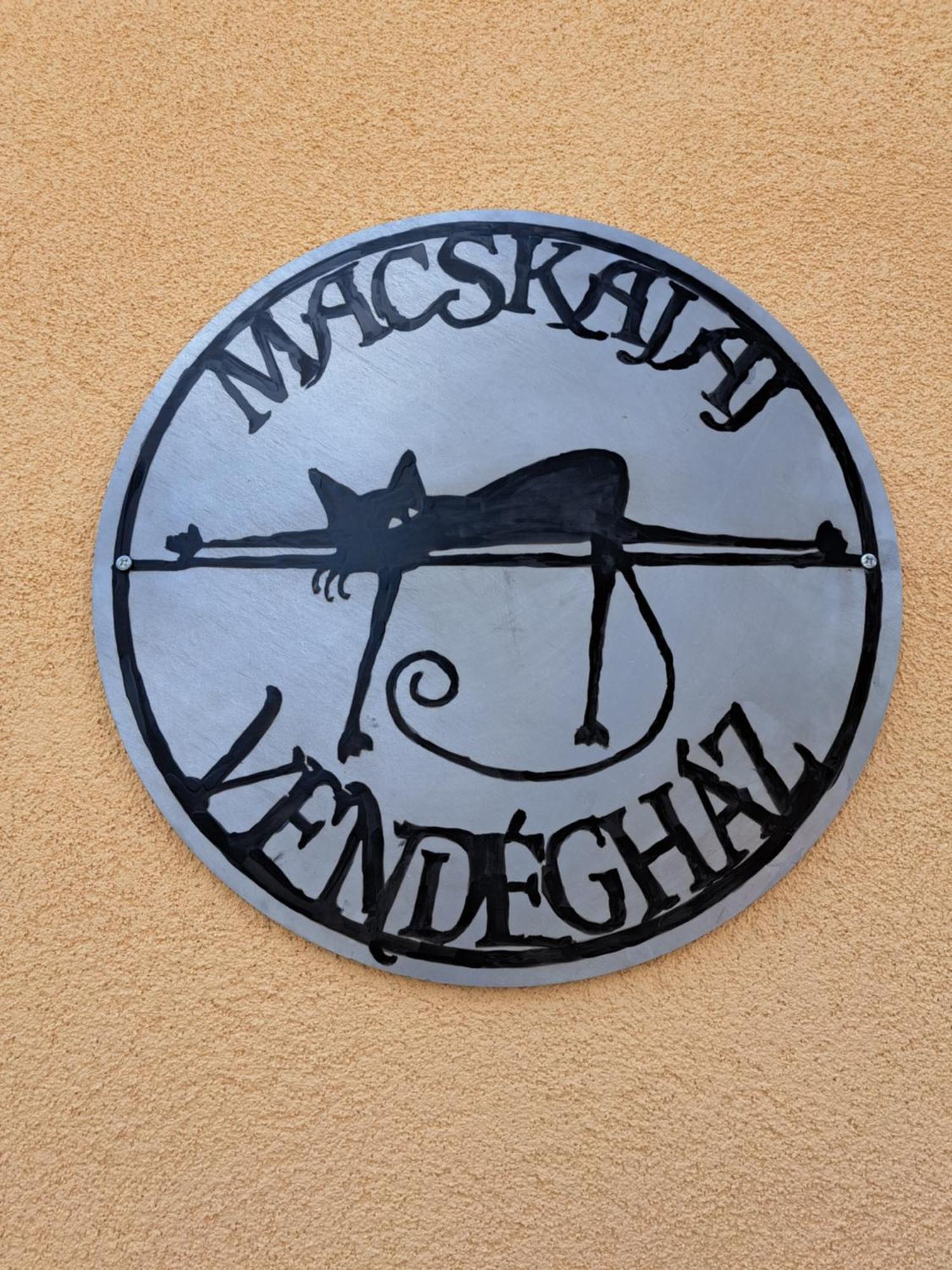 Mecseknádasd Macskajaj Vendeghazヴィラ エクステリア 写真